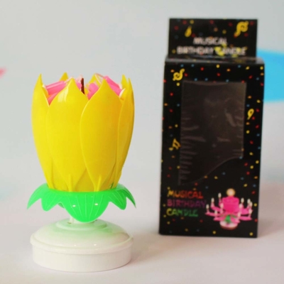 ดาวเทียนวันเกิดสีสันหลากหลาย